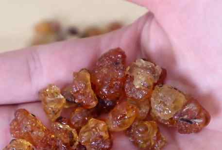 桃胶在哪里买 买桃胶时牢记要避开这几种，抓紧提醒家人，可别买错了