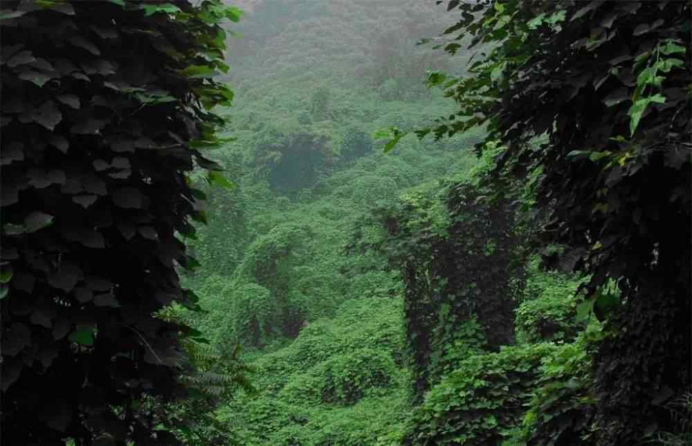 平山腾龙山 平山藤龙山景区重要公告！