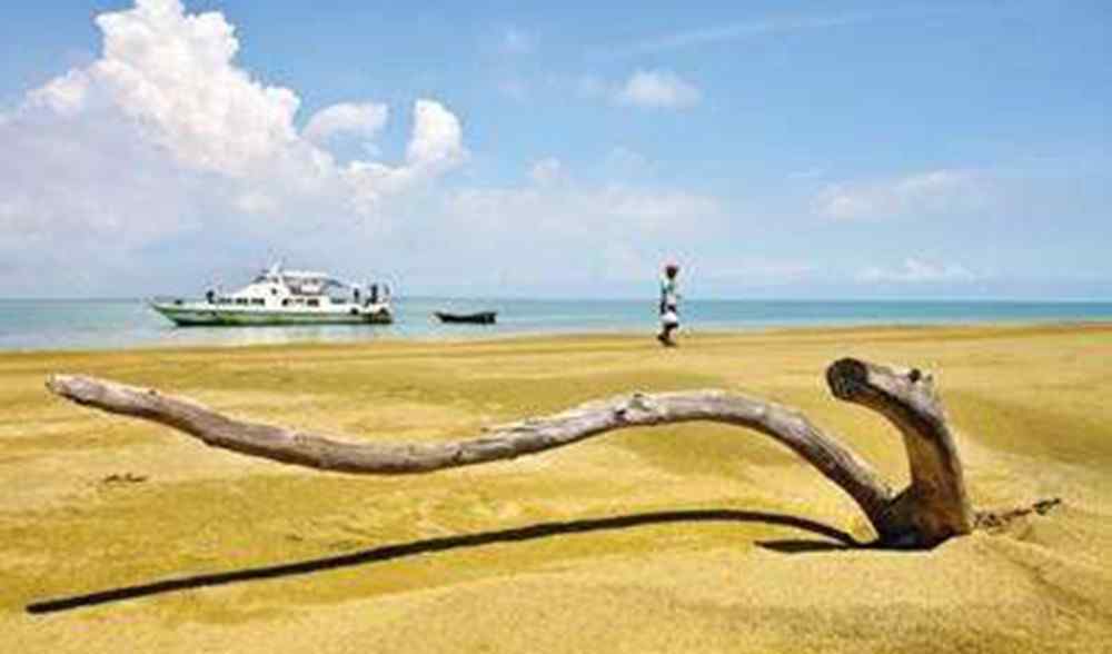 罗斗沙岛 中国有个会跑的岛，越跑越远，很多人担心有一天跑出中国版图