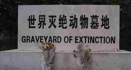 已灭绝的十大可爱动物 世界已灭绝的十大动物文章配图