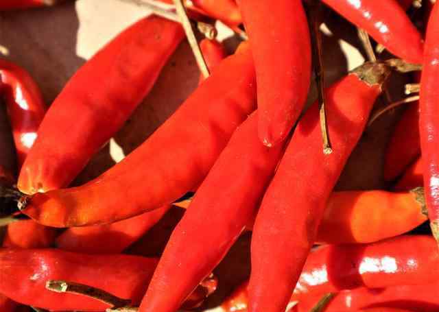 种植辣椒一亩利润多少 农民种植一种辣椒，每斤售价8元，5亩收入4万元，窍门在哪里？