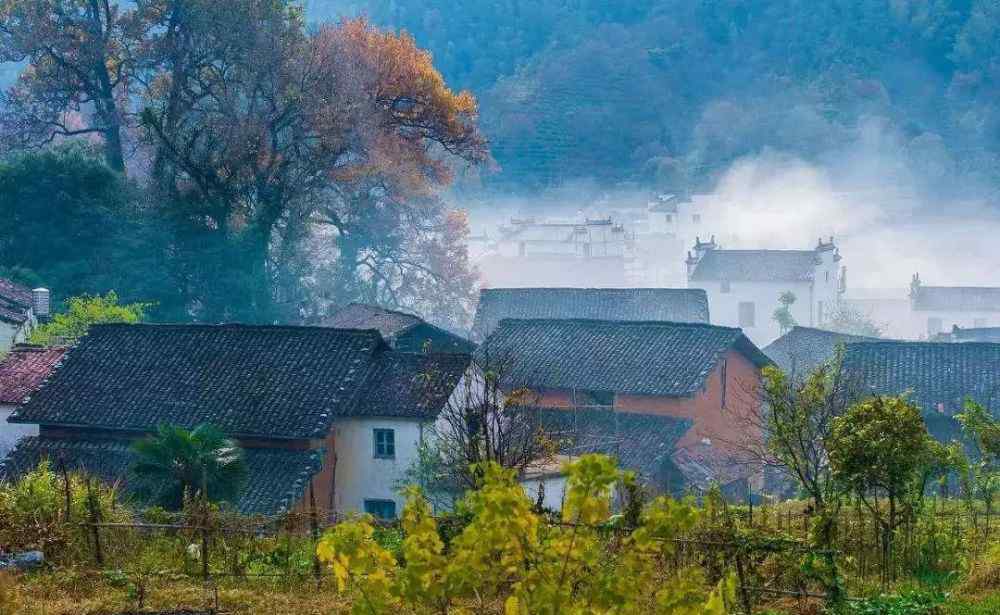 南京薰衣草庄园 门票免费！南京这7个低调小山村，一年四季都很美，去一次绝对不够！