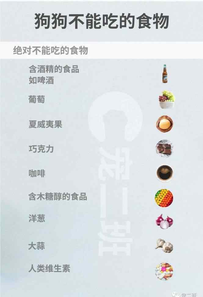 狗狗不能吃的东西 人吃的美食，狗狗能食用吗？最全的狗狗不能吃的东西
