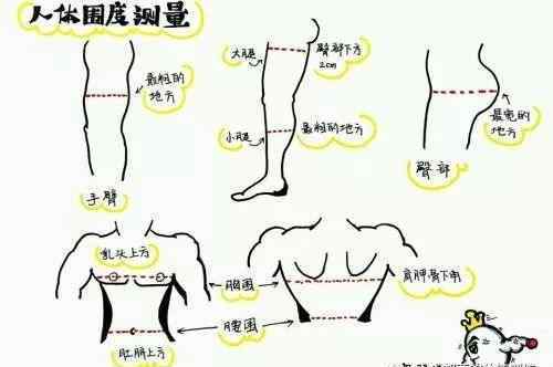 身体成分 全网最全的身体成分测试方法，赶紧学会了给自己测一测