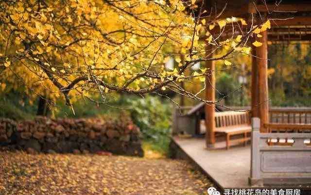 银杏果最简单的吃法 白果虽好，吃得不对会伤身，5种简单好吃法，附处理保存小窍门
