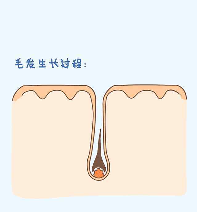 人头发有多少根 人头上有几根头发？你呢？
