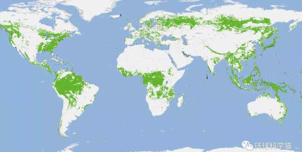 《森林》完整大地图 森林灌木丛地图更新，中国分布均匀，森林覆盖率大增，华南更绿了