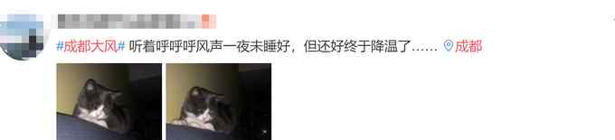 “成都大风”上热搜！不少网友半夜被惊醒：困意都“吹”没了