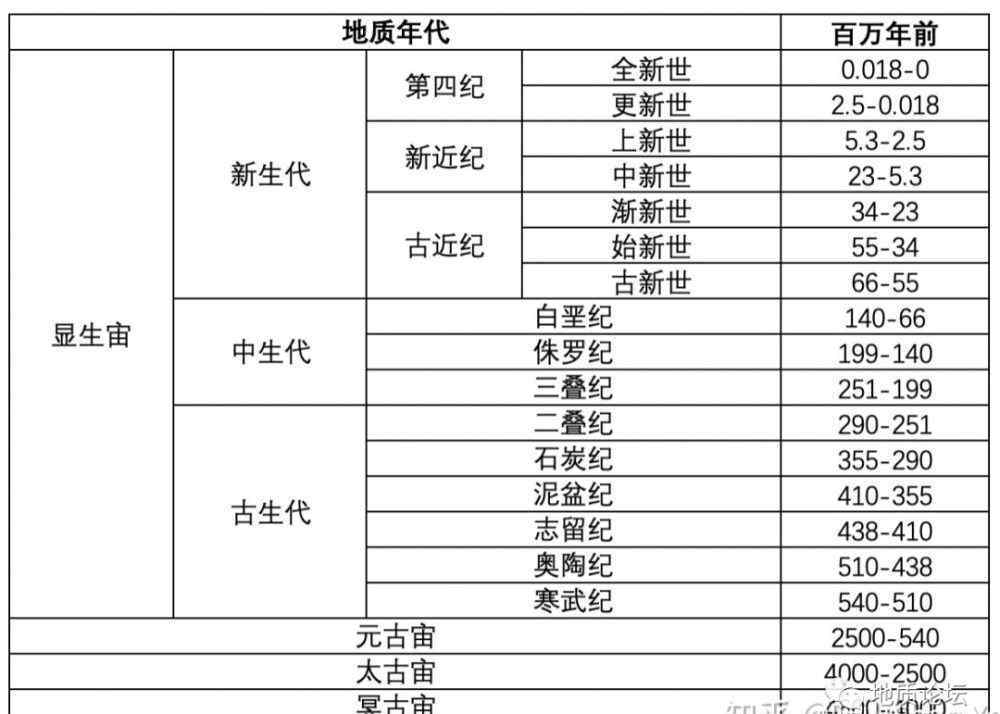 brachiosaurus 知乎大神叶山博士：如何用 20 块化石来讲述地球的历史？