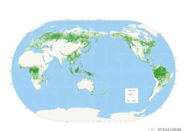 《森林》完整大地图 森林灌木丛地图更新，中国分布均匀，森林覆盖率大增，华南更绿了