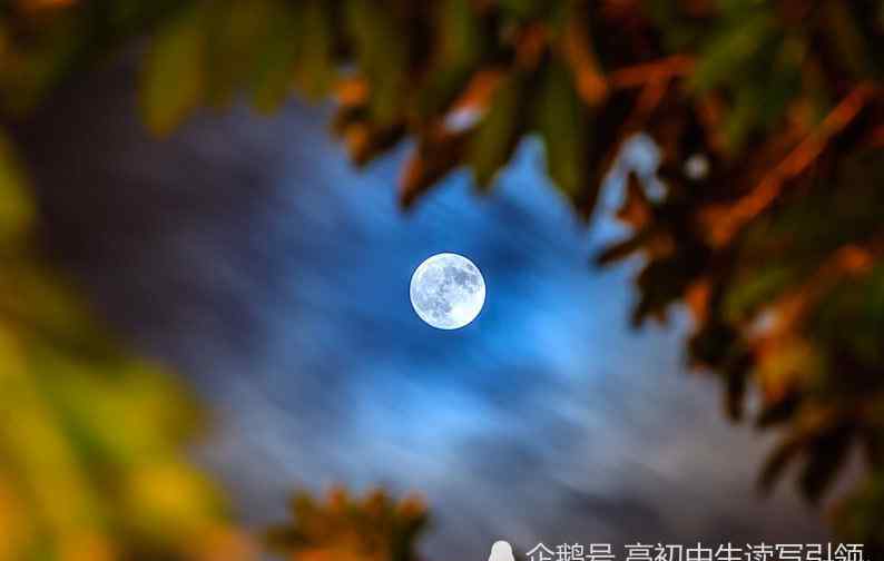 迟子建散文 当代女作家迟子建散文：燃烧的月亮