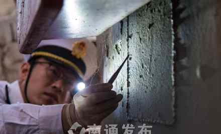 海关查获寡妇蛛 南通海关截获百余头剧毒棕色寡妇蛛，比“黑寡妇”还毒