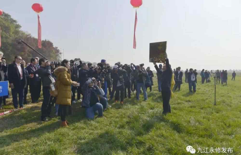 中国永修 真棒！永修县吴城镇成为“中国候鸟小镇”啦！