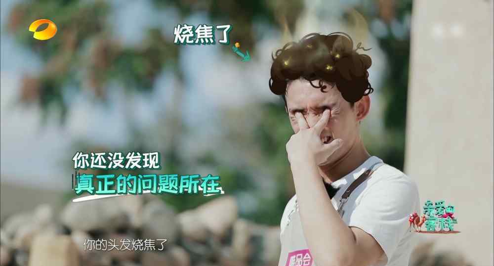 烤翅吧 《亲爱的客栈》吴磊头发都烧焦了鸡没熟，太难了，我还是烤鸡翅吧