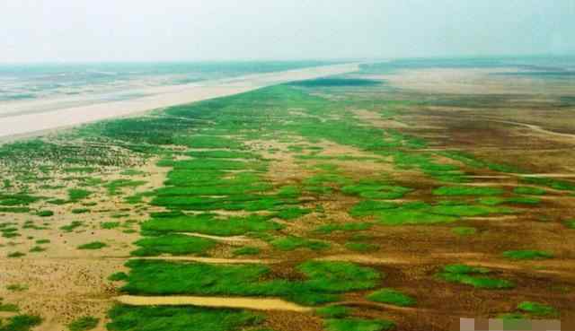 盐碱地形成 为什么耕地用黄河水长期灌溉会形成盐碱地？罪魁祸首竟然是“只进不出”
