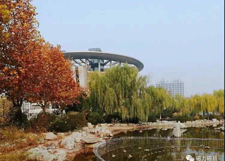 磁县一中 醉了！磁县一中原来可以这样美