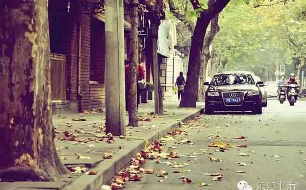 上海夏朵 爱在深秋，徜佯魔都秋冬最美的街头
