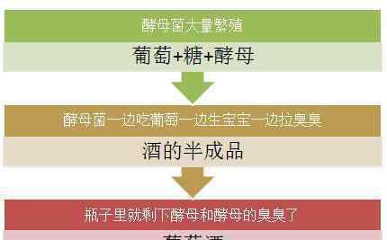 酵母抽提物 酵母提取物是什么？名膜壹号这个成分的真相到底是什么？