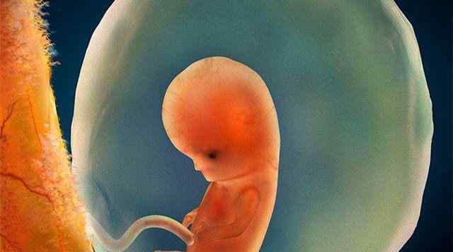 b超单上的秘密三数据 孕早期B超单上的这几个数据，孕妈看懂能知道胎儿的“小秘密”了