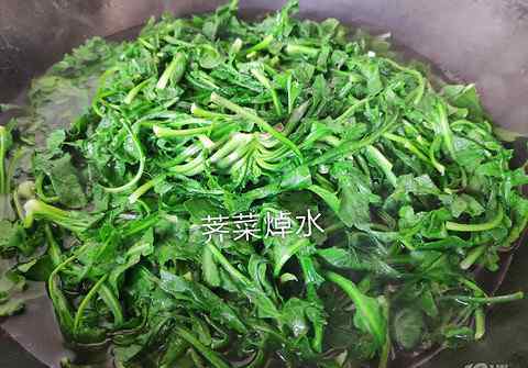 荠菜包子 老家带来的野生荠菜超新鲜，做包子馅的不二之选！