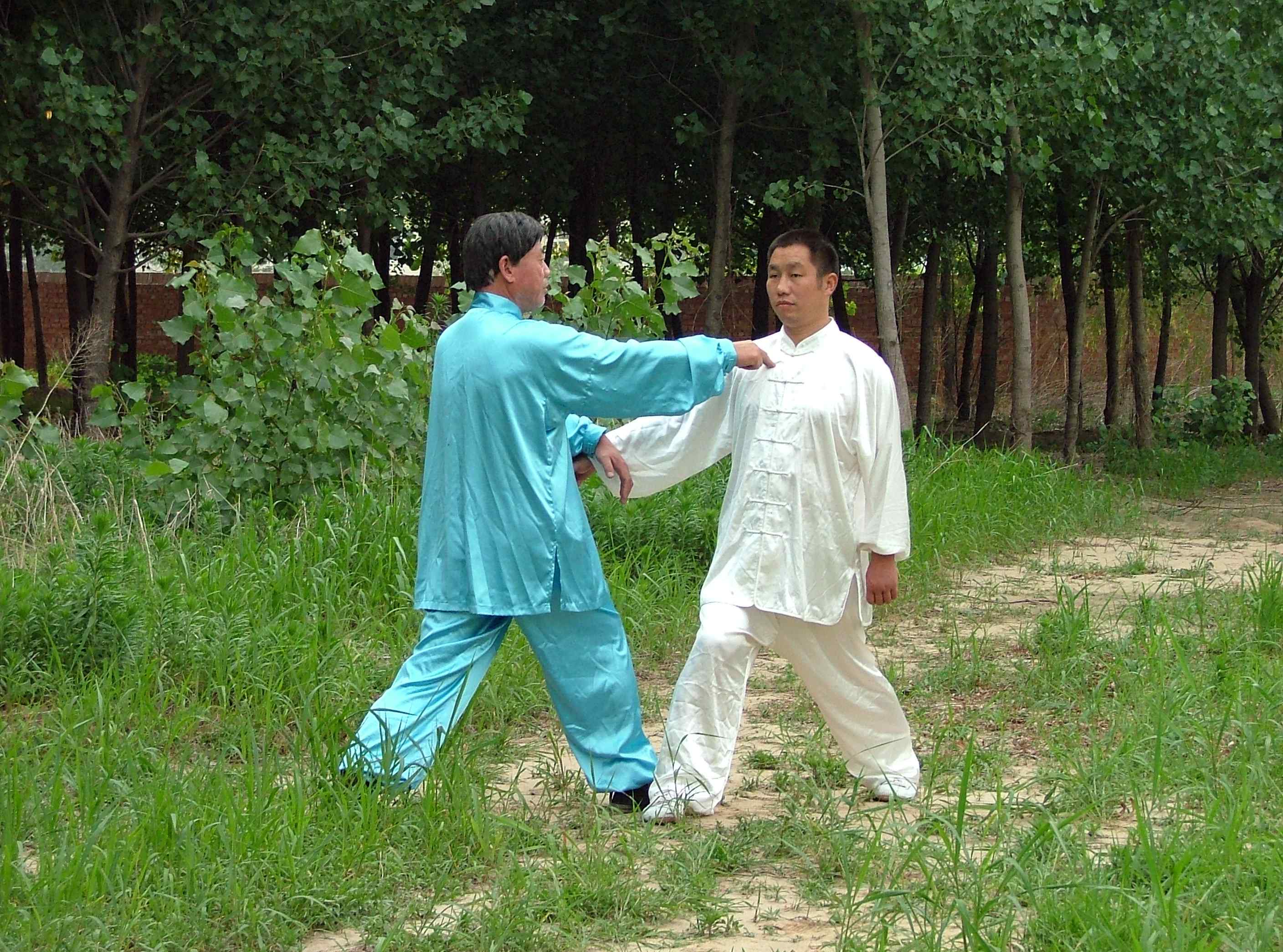 点穴 点穴真的可以让人定住不动吗!