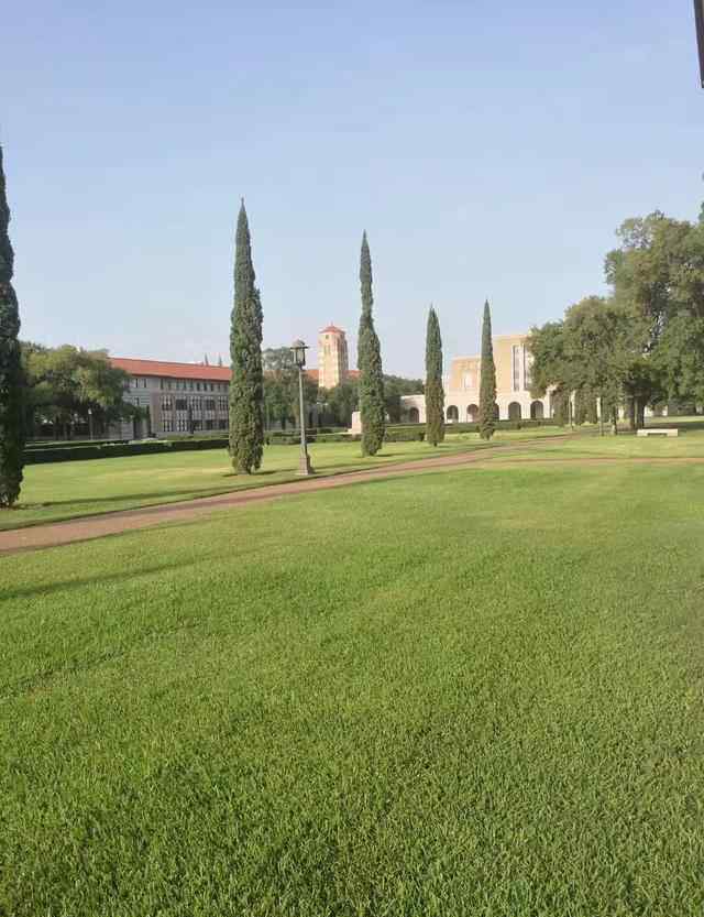 出国留学怎样申请 自己如何申请出国留学？最全的步骤都在这里