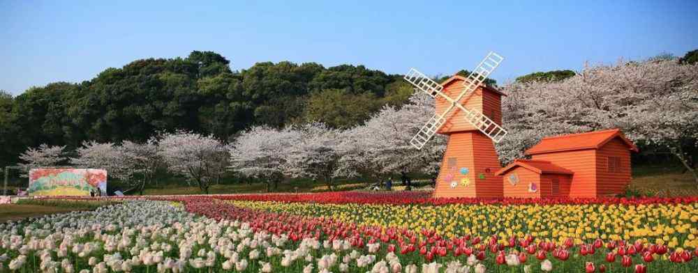 霜叶红于二月花是什么季节 一年四季，你最喜欢哪个季节呢？