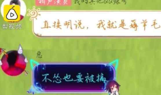 羊毛网 被薅羊毛网店承认盗用信息并致歉：不想再熬下去了