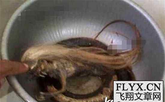 挖机挖到蛇 广西挖掘机挖出人头蛇，人头蛇身怪物震惊全球