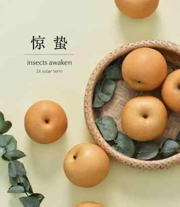 惊蛰为什么吃梨 惊蛰为什么很多地方吃梨吃什么？惊蛰有禁婚的禁忌惊蛰为什么很多地方吃梨吃什么？惊蛰有禁婚的禁忌惊蛰为什么很多地方吃梨吃什么？惊蛰有禁婚的禁忌