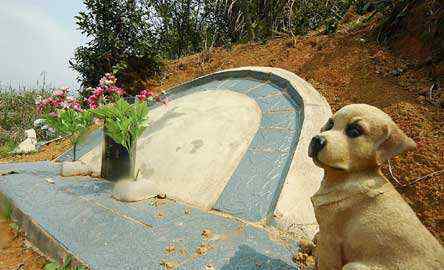 头七狗狗回家大概几点 狗狗死了头七是回到哪里？狗狗头七有什么讲究