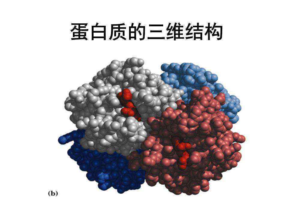 物质循环 生命的本质，其实它只是一个物质循环系统而已