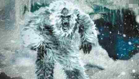 喜马拉雅雪人 喜马拉雅山雪人之谜