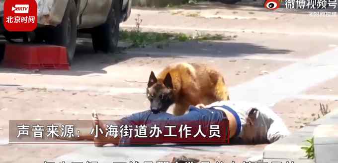 江苏一男子当街被狗撕咬 一动不动！街道办：系男子醉酒逗狗