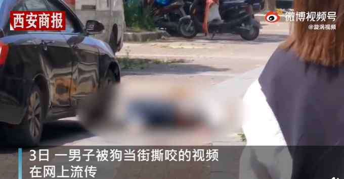 江苏一男子醉酒逗狗被当街撕咬 警方：已无大碍