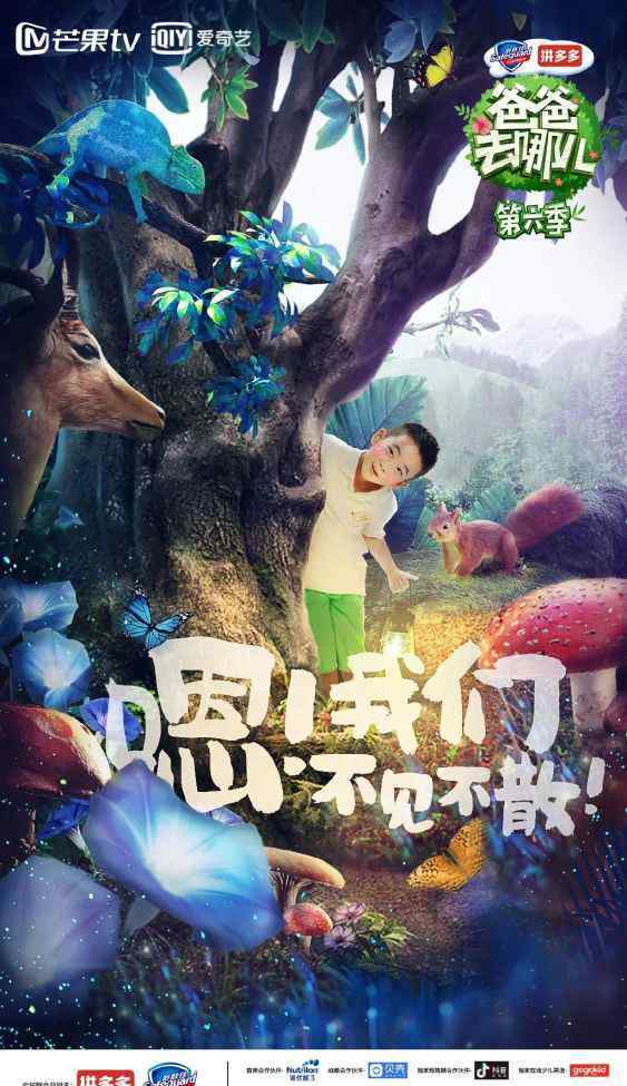 童话侠 《爸爸去哪儿6》的播出曲线背后，亲子综艺如何求生？