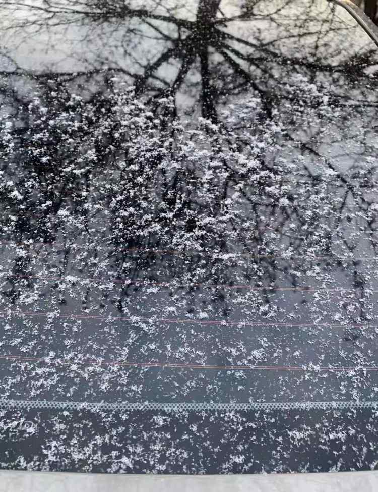 宁河地震 地震发生时滨海新区这所学校操作厉害了