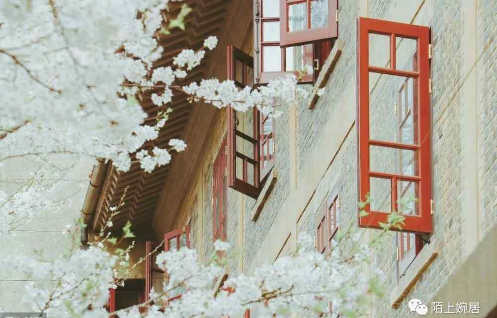 渴望阳光的童年 不幸的人用一生治愈童年，幸运的人用爱拯救童年