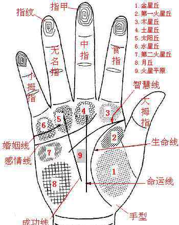 教你看手相 来，教你看手相！