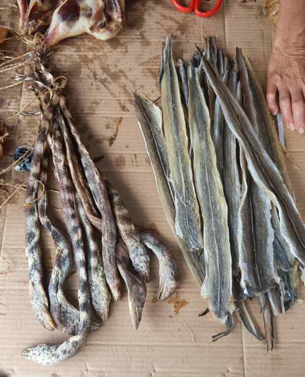 鳝 为什么说大鳝旁必有大坟，迁坟有黄鳝是吉还是凶？