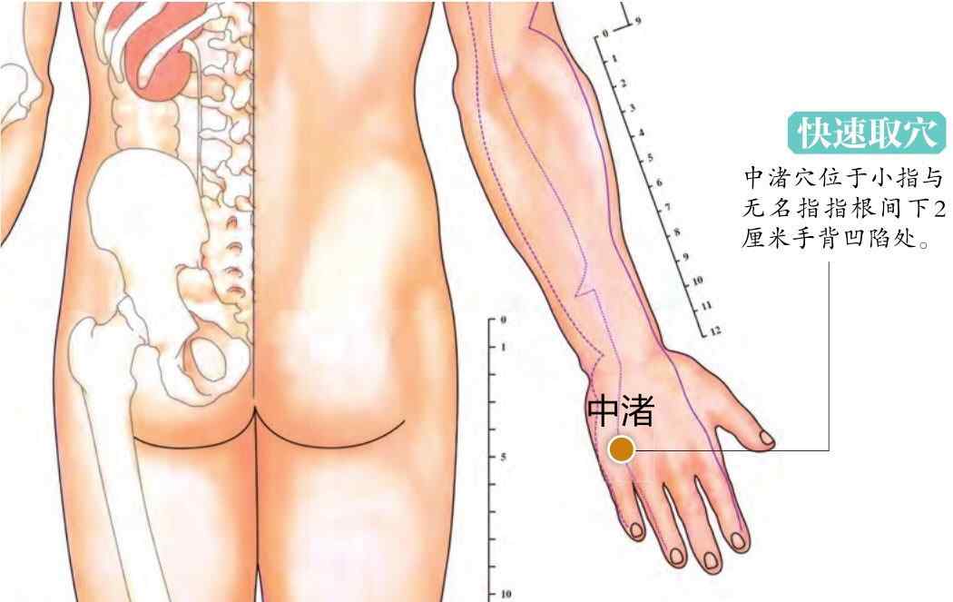 中渚 [中医推荐]15个超级有效穴位之中渚穴