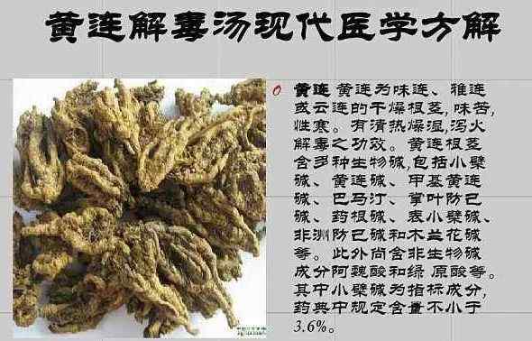 黄连解毒汤 一起学经典-黄连解毒汤