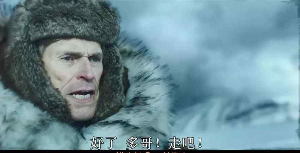 关于雪橇狗的电影 豆瓣8.8，又一部真实改编的神级狗片，结尾把我哭傻了