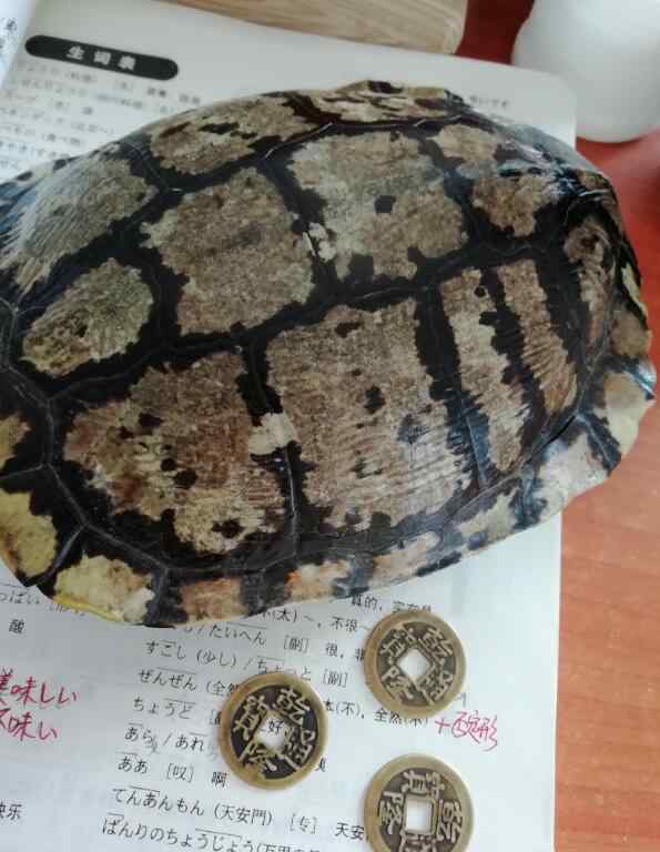 铜钱摇卦 摇卦为什么用六个铜钱，摇卦铜钱字为阳还是阴？