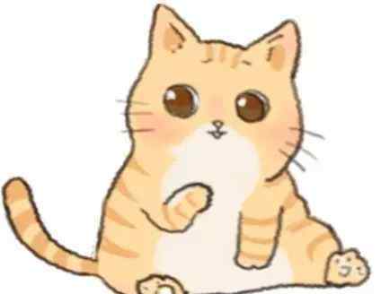 猫和才女 复旦才女陈果：真正的朋友，是无用的