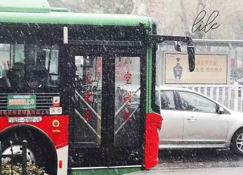 石家庄下雪 石家庄终于下雪了，一大波雪景图来袭！听说这场雪将持续到……