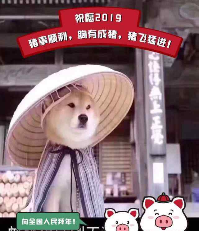 帝国时代2征服者 帝国时代2征服者马厩兵种综合排名