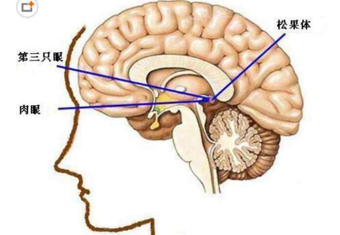 拥有天眼人的特征 开了天眼的人后果有哪些，开了天眼的人啥特征？