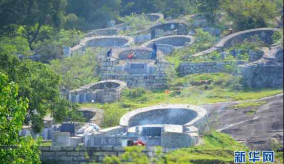 坟前栽树正确位置图片 墓地栽树怎样风水好来看图片，墓地种什么花可以旺后人？