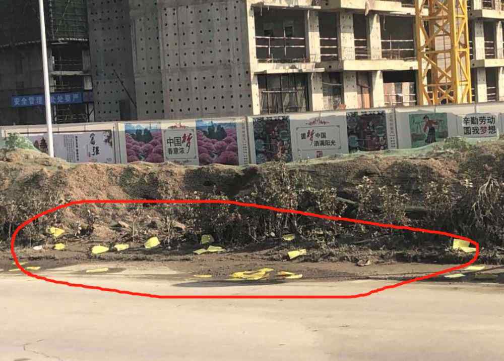 鲤鱼山公墓 搬不走的坟地？来不了的地铁？南京这些板块居民，心很痛……